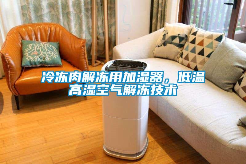 冷凍肉解凍用加濕器，低溫高濕空氣解凍技術(shù)