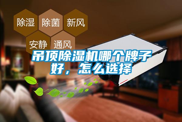 吊頂除濕機(jī)哪個(gè)牌子好，怎么選擇