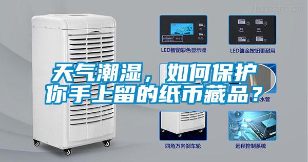 天氣潮濕，如何保護(hù)你手上留的紙幣藏品？
