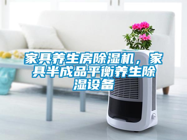 家具養(yǎng)生房除濕機(jī)，家具半成品平衡養(yǎng)生除濕設(shè)備