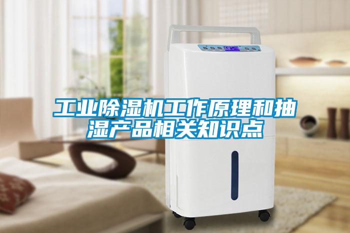 工業(yè)除濕機(jī)工作原理和抽濕產(chǎn)品相關(guān)知識點