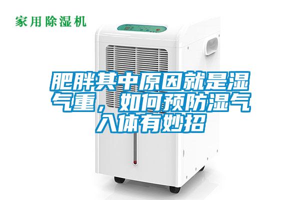 肥胖其中原因就是濕氣重，如何預(yù)防濕氣入體有妙招
