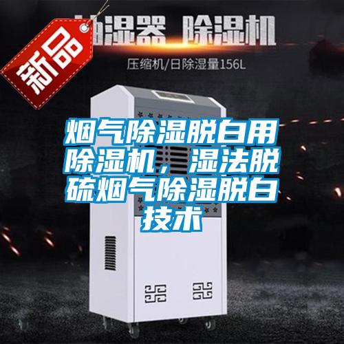 煙氣除濕脫白用除濕機(jī)，濕法脫硫煙氣除濕脫白技術(shù)