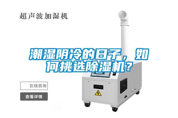 潮濕陰冷的日子，如何挑選除濕機(jī)？