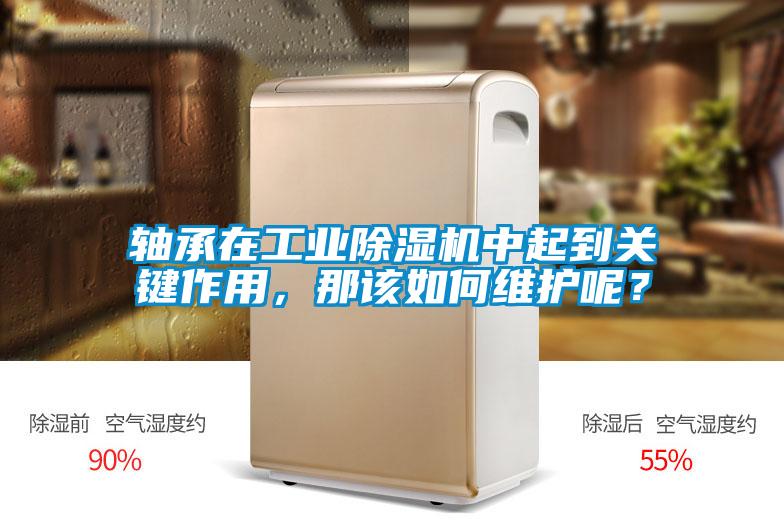 軸承在工業(yè)除濕機中起到關(guān)鍵作用，那該如何維護呢？