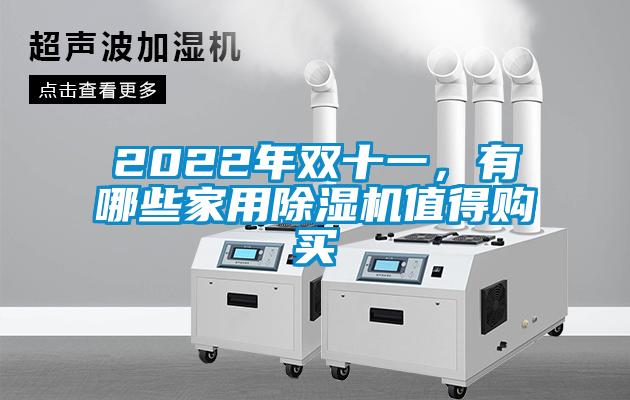 2022年雙十一，有哪些家用除濕機值得購買