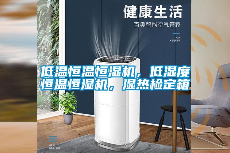 低溫恒溫恒濕機(jī)，低濕度恒溫恒濕機(jī)，濕熱檢定箱