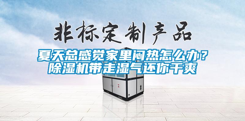 夏天總感覺家里悶熱怎么辦？除濕機帶走濕氣還你干爽