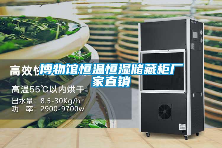 博物館恒溫恒濕儲(chǔ)藏柜廠(chǎng)家直銷(xiāo)