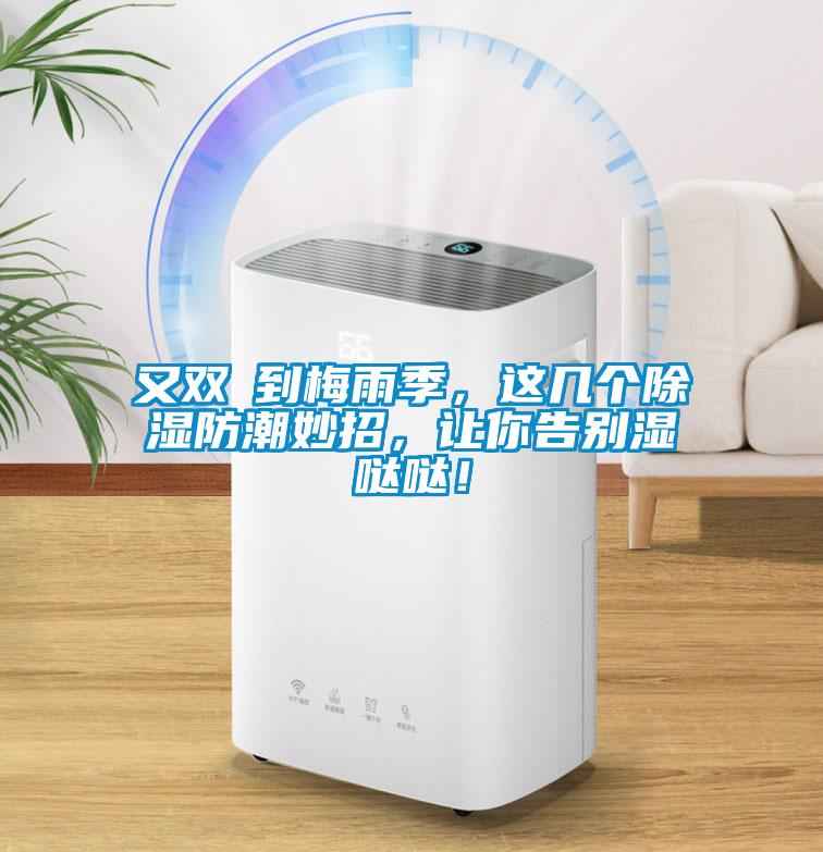 又雙叒到梅雨季，這幾個除濕防潮妙招，讓你告別濕噠噠！