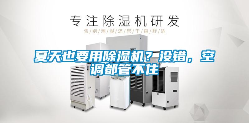 夏天也要用除濕機(jī)？沒錯，空調(diào)都管不住