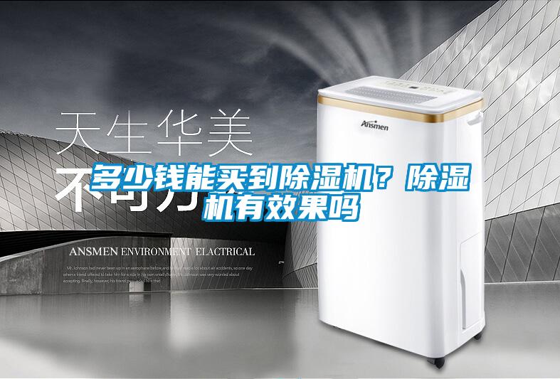 多少錢能買到除濕機(jī)？除濕機(jī)有效果嗎