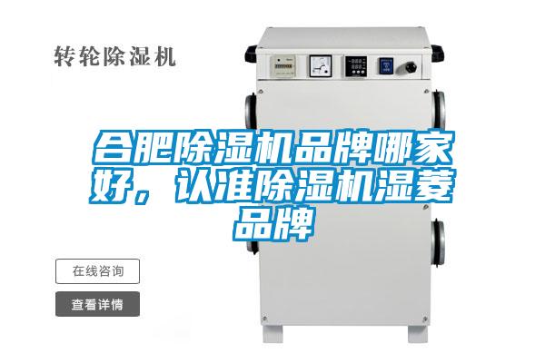 合肥除濕機(jī)品牌哪家好，認(rèn)準(zhǔn)除濕機(jī)濕菱品牌