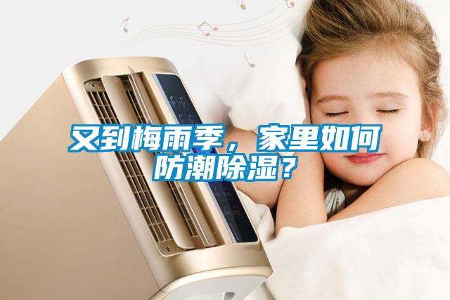 又到梅雨季，家里如何防潮除濕？
