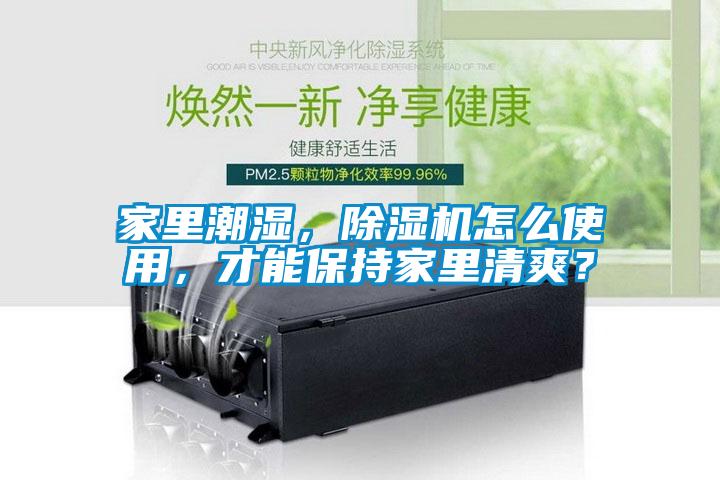 家里潮濕，除濕機怎么使用，才能保持家里清爽？