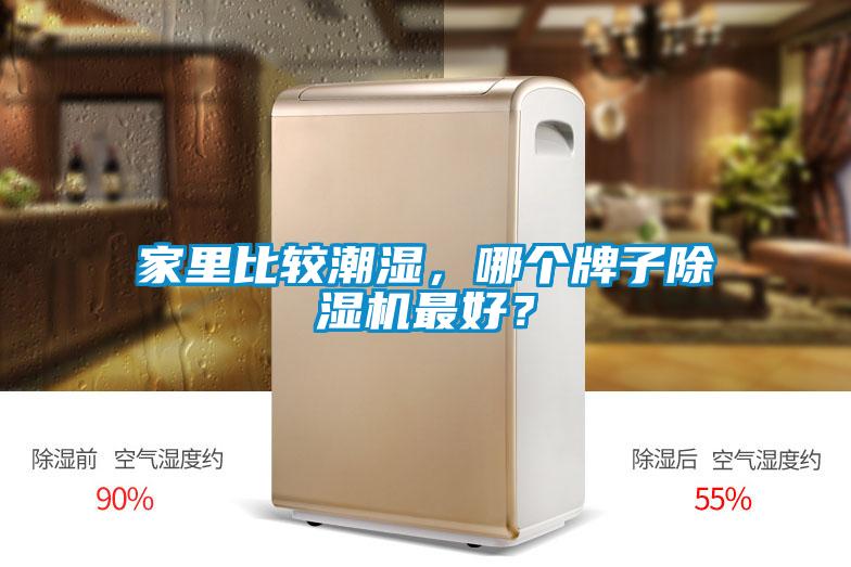 家里比較潮濕，哪個(gè)牌子除濕機(jī)最好？