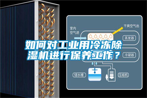 如何對(duì)工業(yè)用冷凍除濕機(jī)進(jìn)行保養(yǎng)工作？