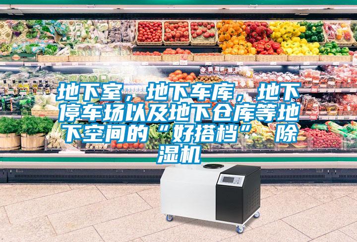 地下室，地下車庫，地下停車場以及地下倉庫等地下空間的“好搭檔” 除濕機(jī)