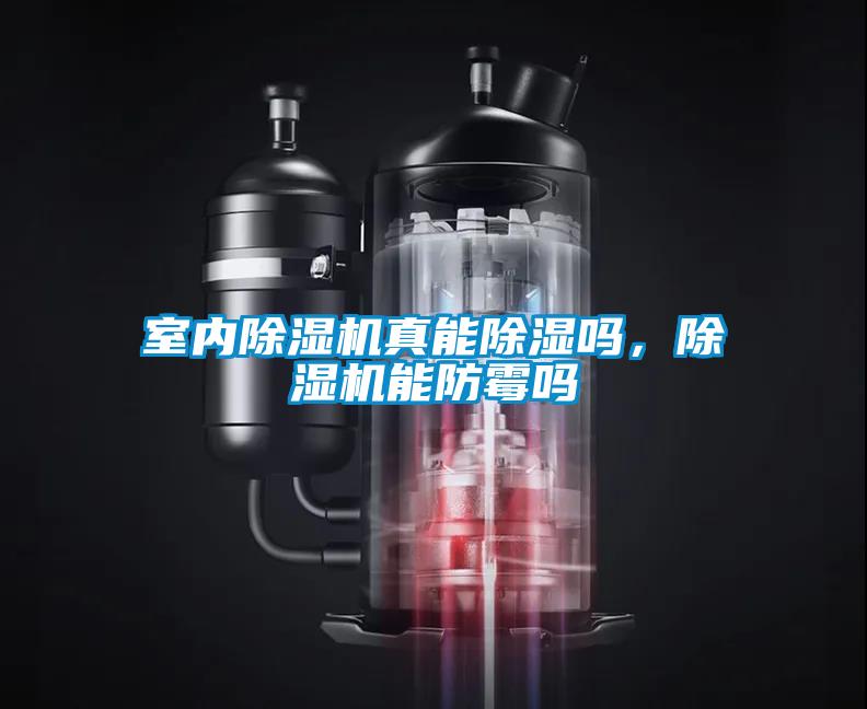 室內(nèi)除濕機(jī)真能除濕嗎，除濕機(jī)能防霉嗎