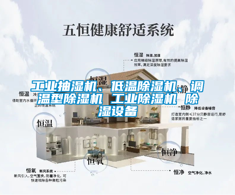 工業(yè)抽濕機、低溫除濕機、調(diào)溫型除濕機 工業(yè)除濕機 除濕設(shè)備