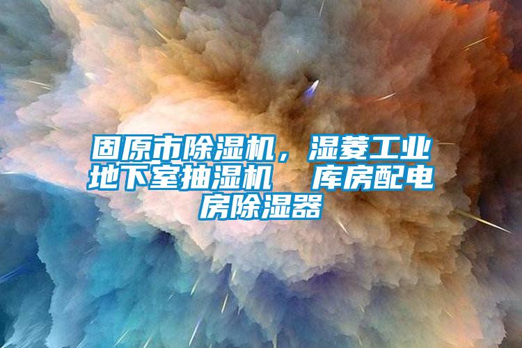 固原市除濕機(jī)，濕菱工業(yè)地下室抽濕機(jī)  庫(kù)房配電房除濕器