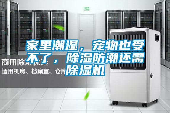 家里潮濕，寵物也受不了，除濕防潮還需除濕機(jī)