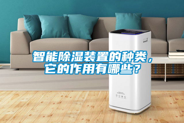 智能除濕裝置的種類，它的作用有哪些？