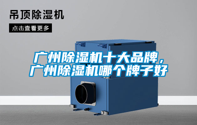 廣州除濕機(jī)十大品牌，廣州除濕機(jī)哪個牌子好