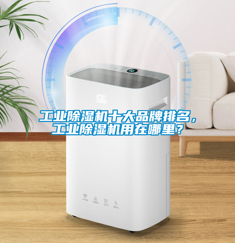 工業(yè)除濕機(jī)十大品牌排名，工業(yè)除濕機(jī)用在哪里？
