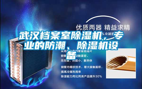 武漢檔案室除濕機，專業(yè)的防潮、除濕機設備