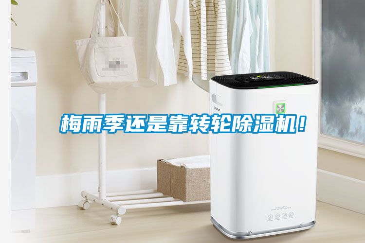 梅雨季還是靠轉(zhuǎn)輪除濕機(jī)！
