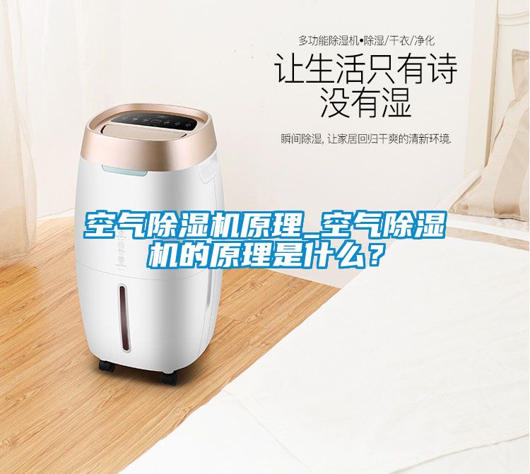 空氣除濕機原理_空氣除濕機的原理是什么？