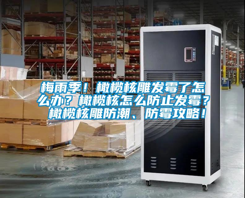 梅雨季！橄欖核雕發(fā)霉了怎么辦？橄欖核怎么防止發(fā)霉？ 橄欖核雕防潮、防霉攻略！