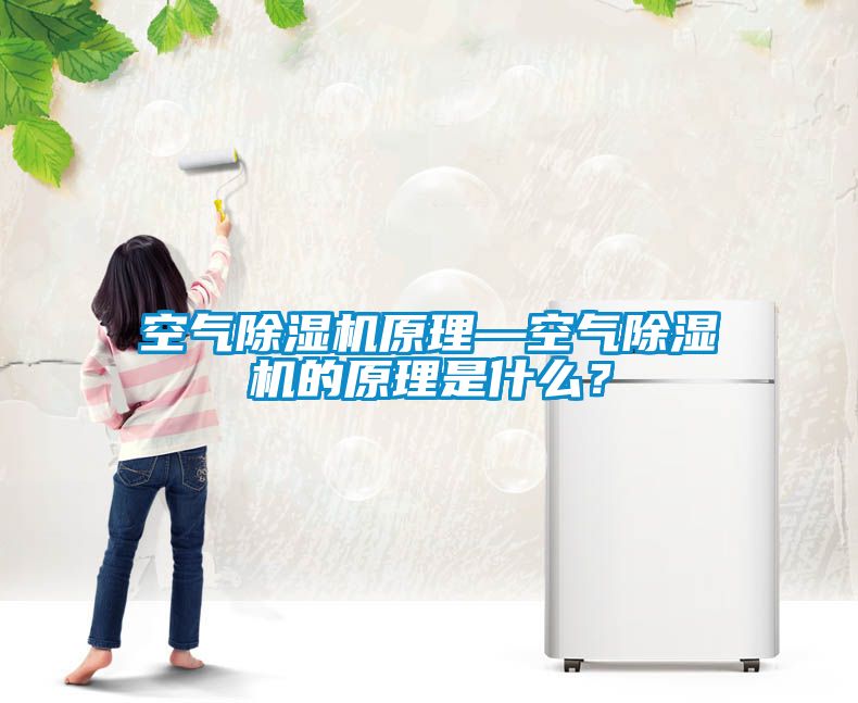 空氣除濕機原理—空氣除濕機的原理是什么？