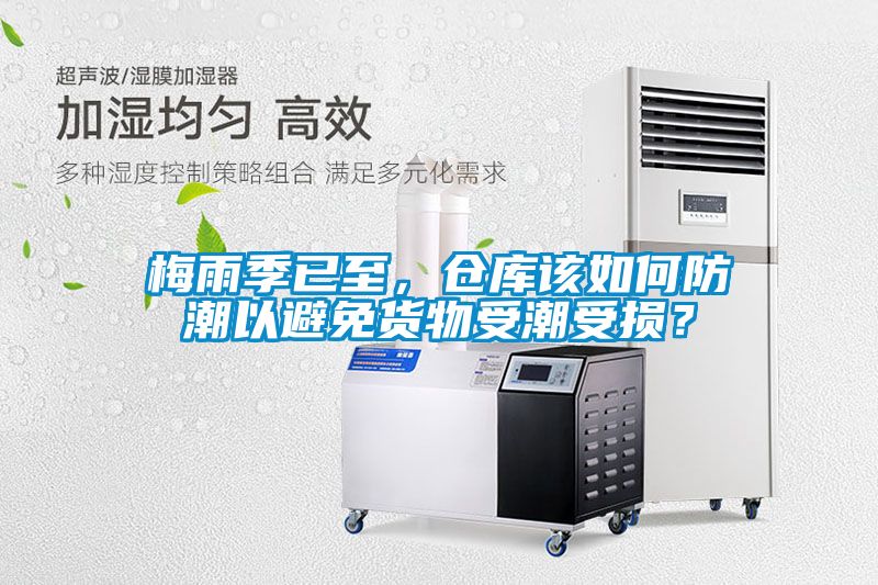 梅雨季已至，倉庫該如何防潮以避免貨物受潮受損？