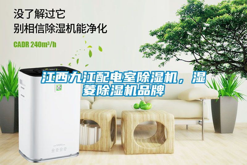 江西九江配電室除濕機(jī)，濕菱除濕機(jī)品牌
