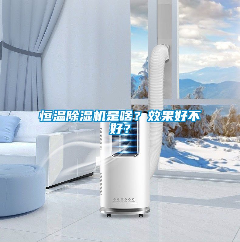 恒溫除濕機是啥？效果好不好？