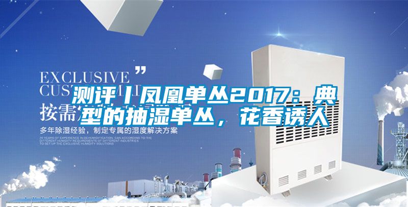 測評丨鳳凰單叢2017：典型的抽濕單叢，花香誘人