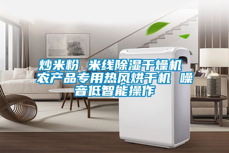 炒米粉 米線除濕干燥機(jī) 農(nóng)產(chǎn)品專(zhuān)用熱風(fēng)烘干機(jī) 噪音低智能操作