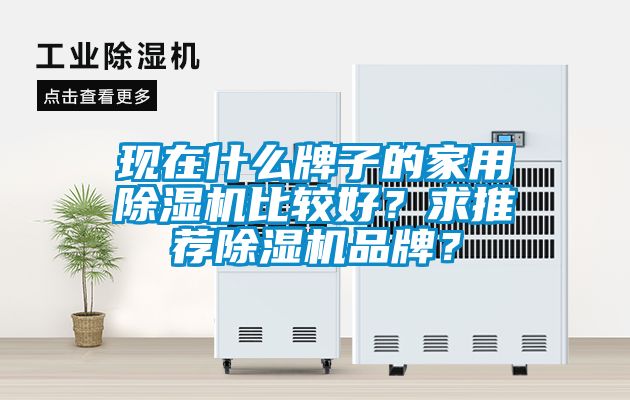 現(xiàn)在什么牌子的家用除濕機比較好？求推薦除濕機品牌？