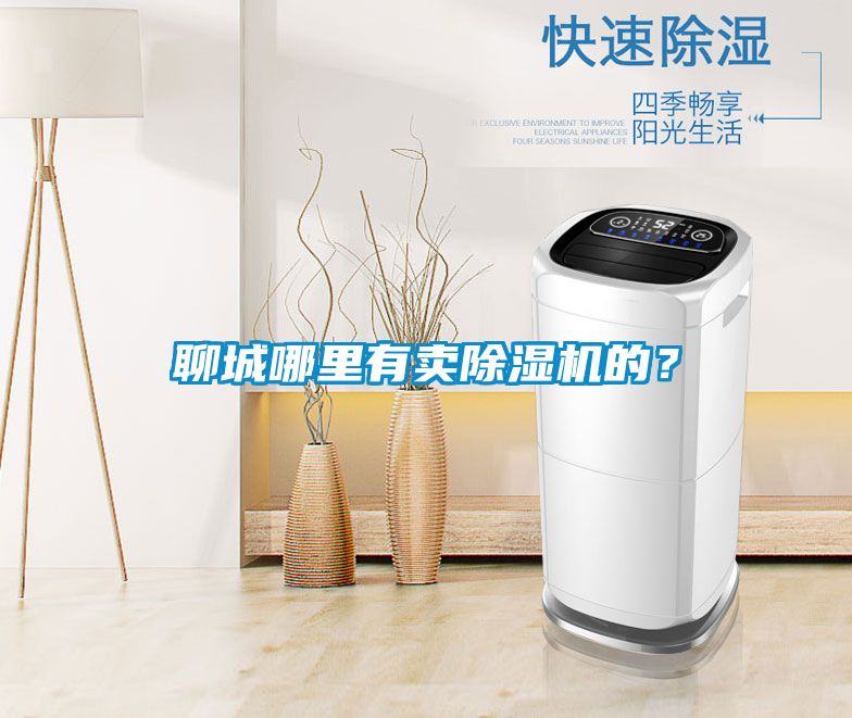 聊城哪里有賣除濕機的？