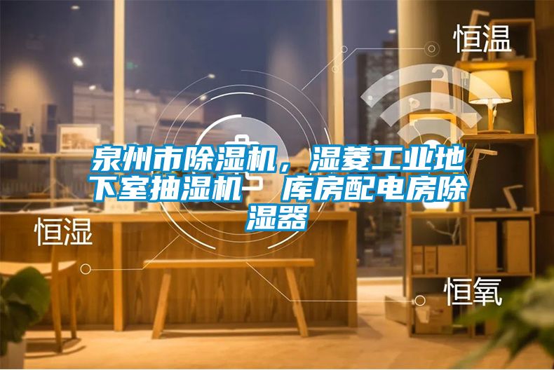 泉州市除濕機，濕菱工業(yè)地下室抽濕機  庫房配電房除濕器