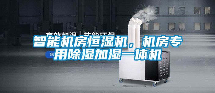 智能機房恒濕機，機房專用除濕加濕一體機