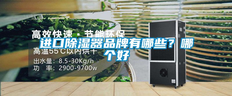 進口除濕器品牌有哪些？哪個好