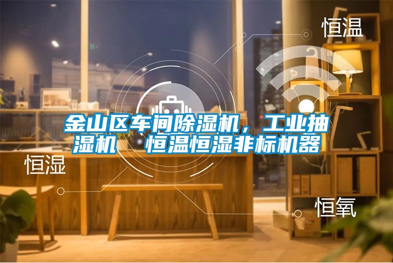 金山區(qū)車間除濕機(jī)，工業(yè)抽濕機(jī)  恒溫恒濕非標(biāo)機(jī)器