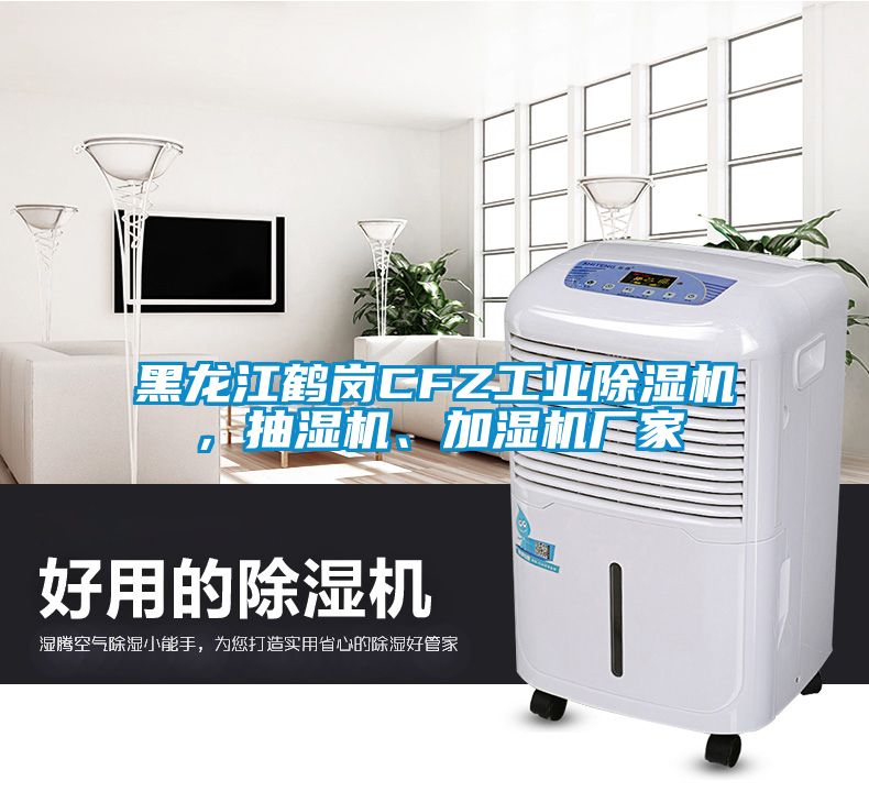 黑龍江鶴崗CFZ工業(yè)除濕機，抽濕機、加濕機廠家