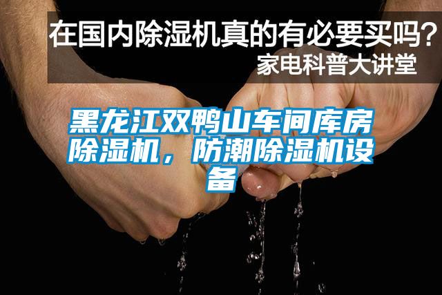黑龍江雙鴨山車間庫房除濕機，防潮除濕機設(shè)備