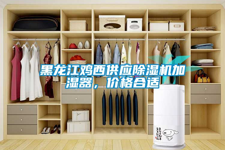 黑龍江雞西供應(yīng)除濕機加濕器，價格合適