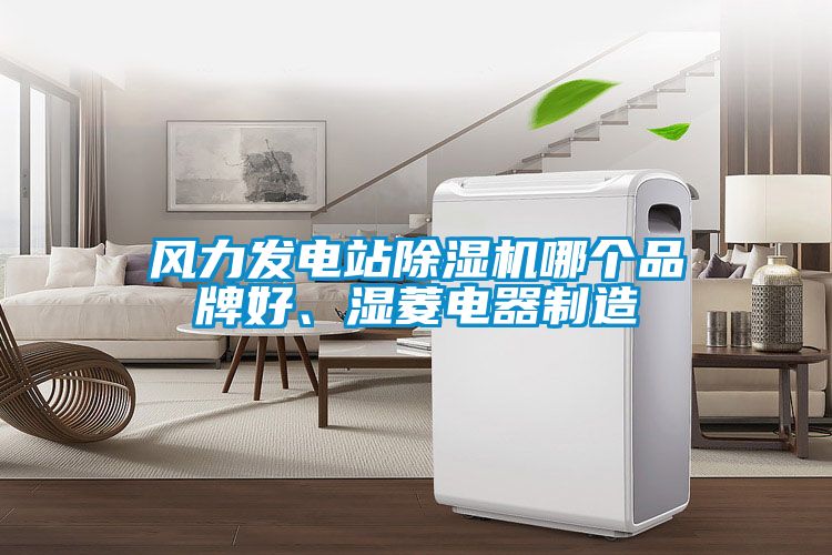風(fēng)力發(fā)電站除濕機(jī)哪個(gè)品牌好、濕菱電器制造