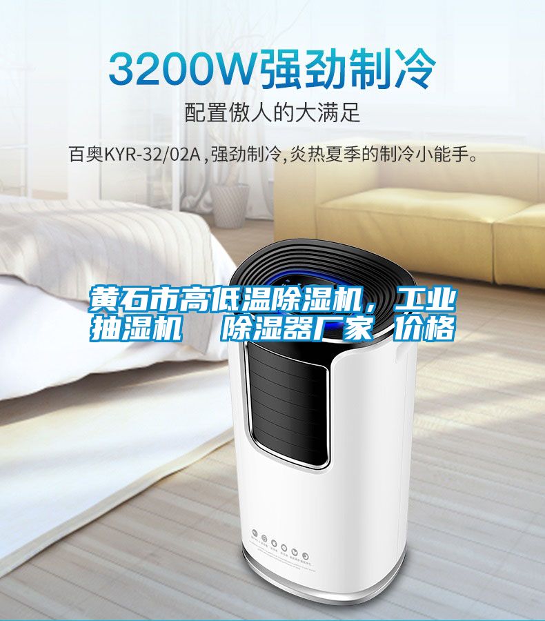 黃石市高低溫除濕機，工業(yè)抽濕機  除濕器廠家 價格